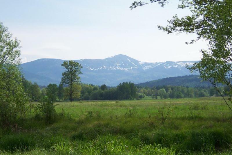 Karpnicka Struga W Dolinie Palacow I Ogrodow Jelenia Gora Bagian luar foto